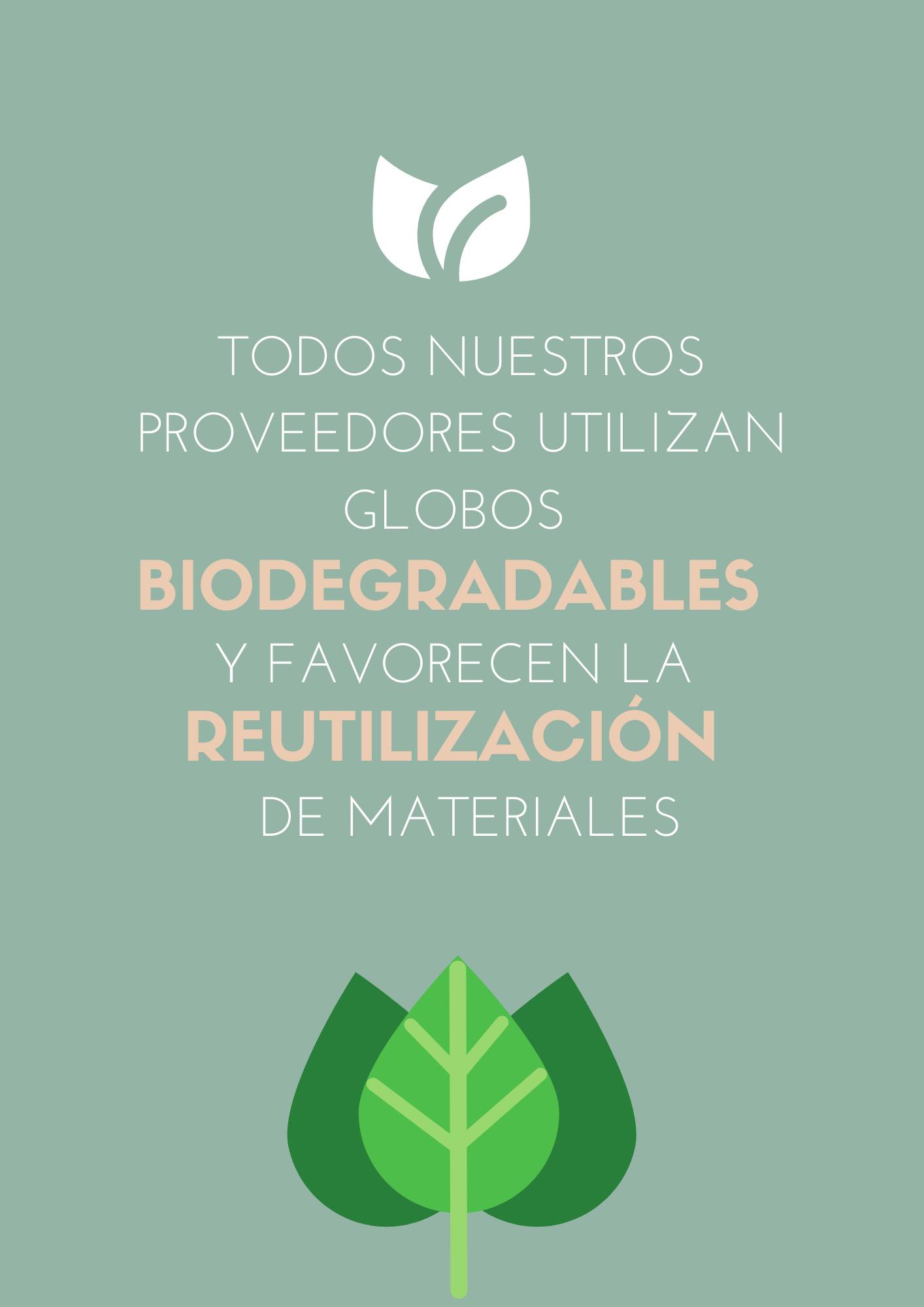 Todos nuestros proveedores son ecoresponsables.